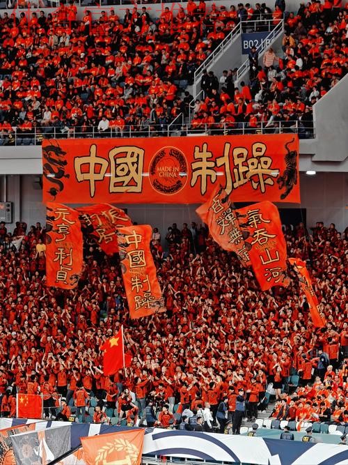 男足亚洲杯 中国队球迷加油很给力